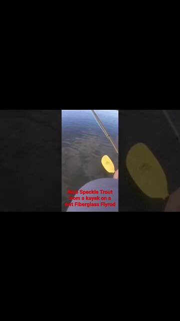 #saltwaterfishing for #speckledtrout on a glass 6wt #flyfishing #rod #shorts #kayak #texas #coast