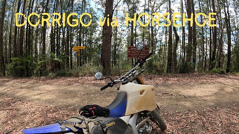 AUSTRALIAN ADV RIDE | EXPLORING COFFS COAST | WR250R