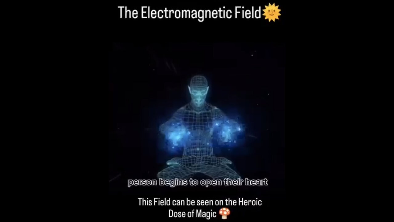 THE ELECTRO MAGNETIC FIELD