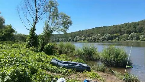 Fish Camping