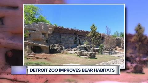 Detroit Zoo more than doubles space for 3 rescued grizzly bears