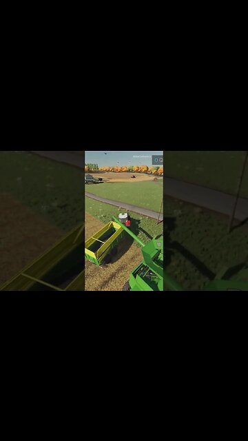 Wheat And Sunflower FS22 #shorts