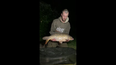 17lbs carp