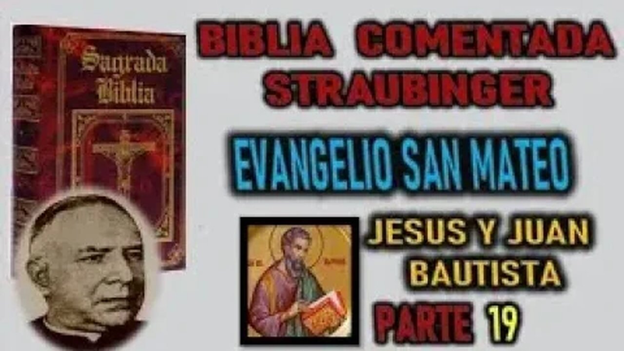 JESUS Y JUAN BAUTISTA BIBLIA STRAUBINGER EVANGELIO SEGUN SAN MATEO