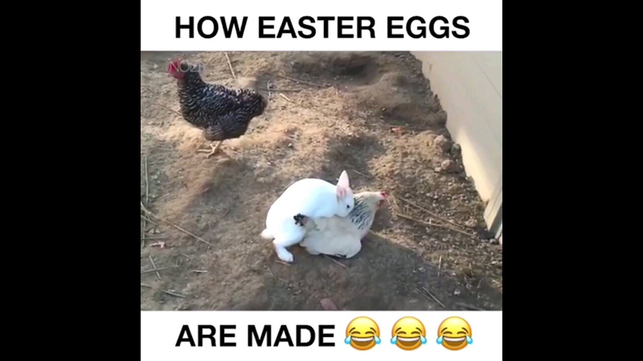 How Easter Eggs were Made?