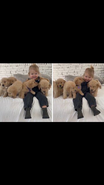 Little Girl And Her Puppies Are The Cutest Thing You'll See Today