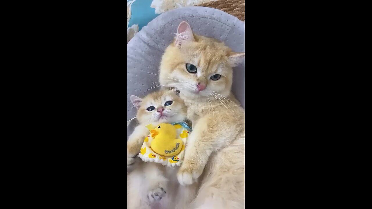 so cute kittn and her mom