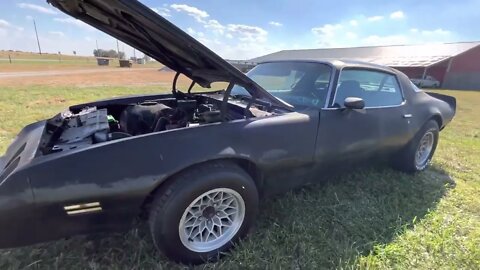 1981 Pontiac Firebird Formula