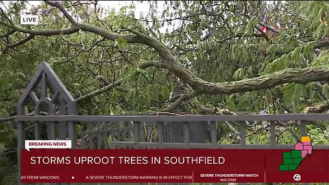 Storm brings tree down at Geoffrey Fieger's office