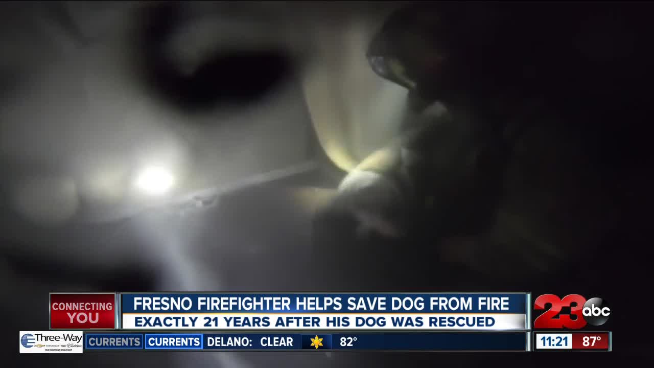 Check This Out: Fresno firefighter helps save dog from fire