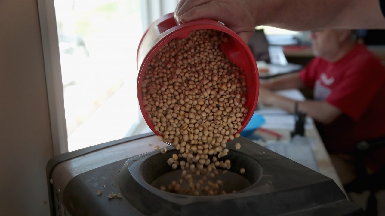 Soybeans Are A Huge Casualty In The US-China Trade War