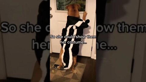 The saddest day for Tinker🥹❤️ #doggosbeingdoggos #saddog #poutingdog #englishbulldog #shorts #viral