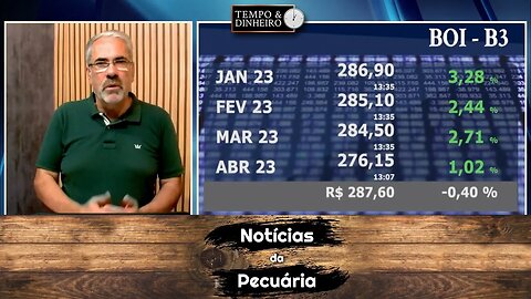 Boi de olho nas fêmeas que serão mandadas para o gancho.
