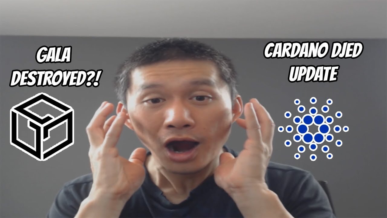 Gala DESTROYED as founder SUE EACH OTHER?! Cardano DJED Update