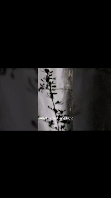 The Waterfall Prose by @Darmin De'flern