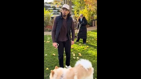 Total Loser Goes Off On Women With Dogs At A Park In London