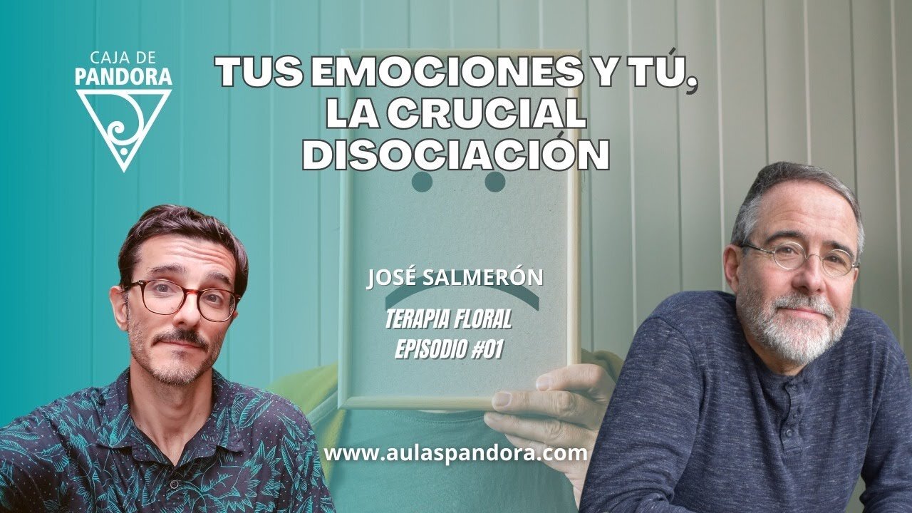 TUS EMOCIONES Y TÚ, la crucial Disociación - José Salmerón ( TERAPIA FLORAL #01 )