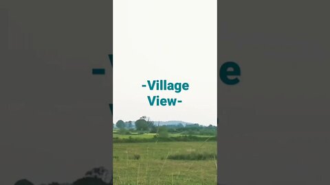 Village View