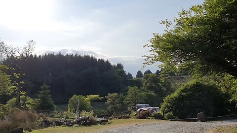 views from the car. Dartmoor 28th May 2023