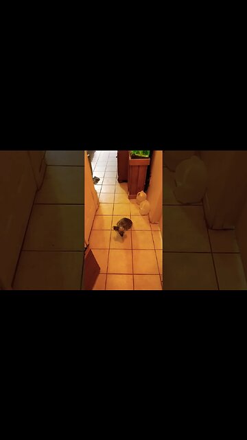 waiting for his mom , he is not as innocent as he seems