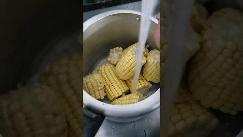 MILHO 🌽 Verde na Panela de Pressão DICAS