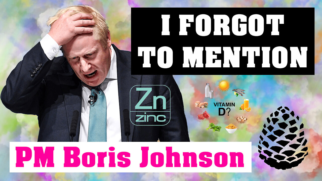 What Boris DID NOT Say, 12th December 2021, Pinecone