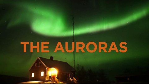 The Auroras