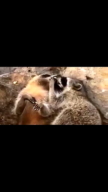 THE STRUGGLE WITH GUILT - DAILY DEVOTIONAL ❤️