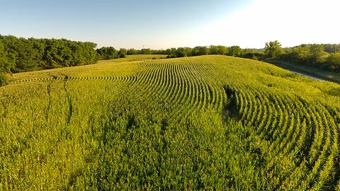 Drone flight over crops