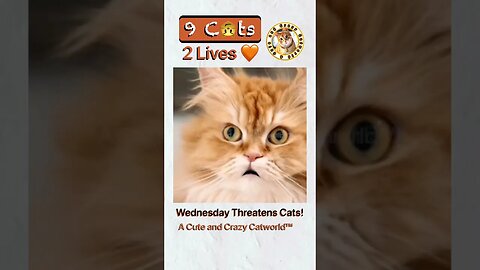 @Netflix’s #Wednesday Addams THREATENS (#9C2L) Three Cats! 🙀 (#Shorts)