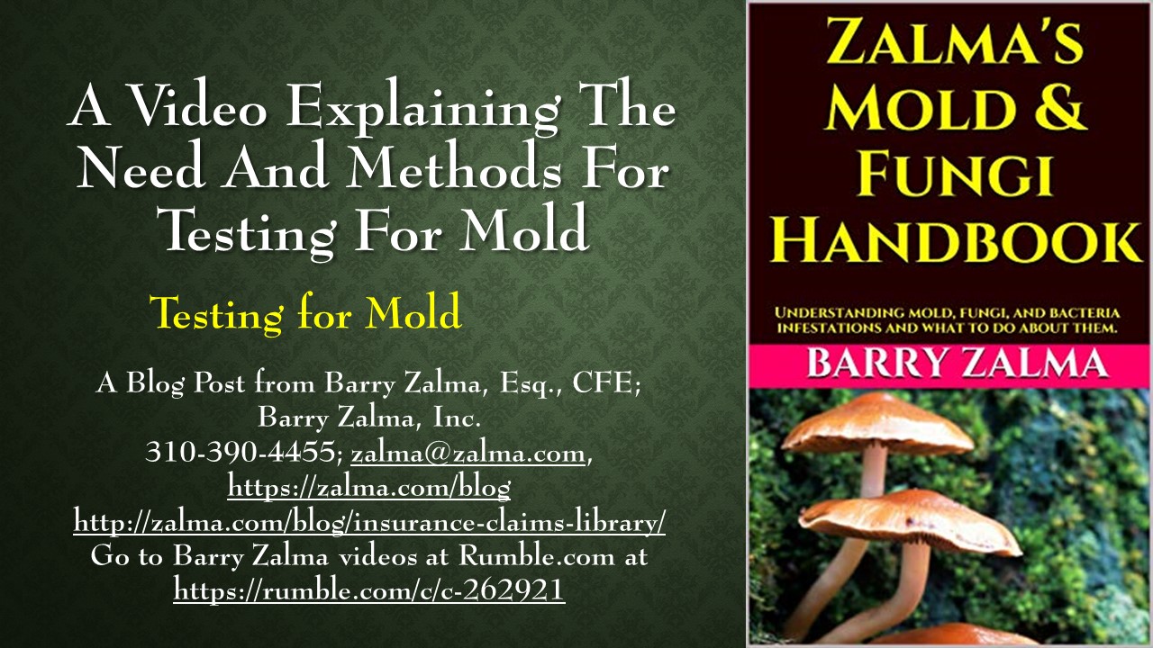 A Video Explaining the Need and Methods for Testing for Mold