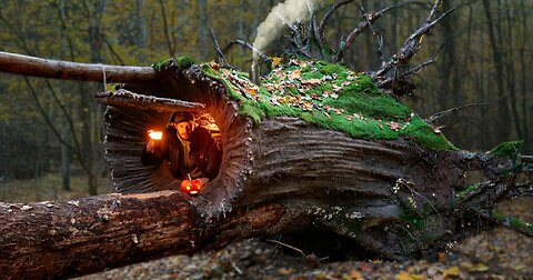 Building a Warm and Cozy Hollow for Survival, in the root of a fallen spruce. Secret cave, Bushcraft