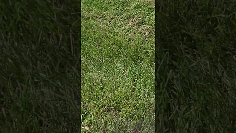 it's October #shorts