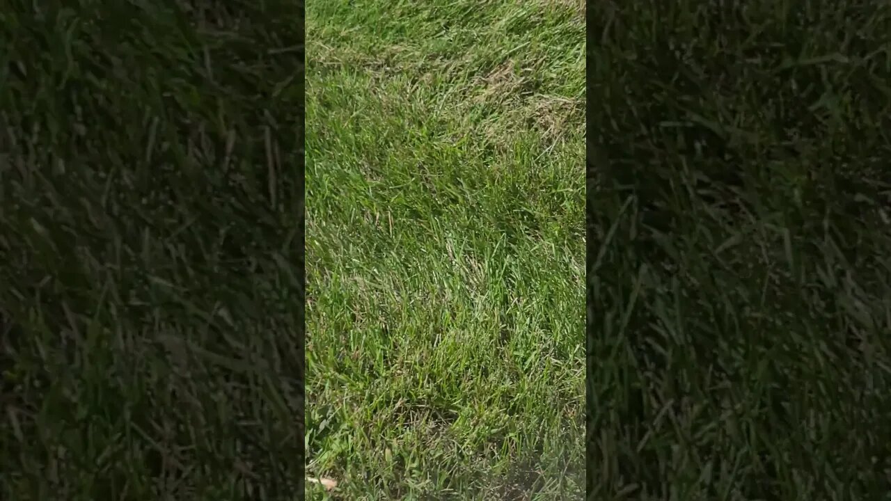 it's October #shorts