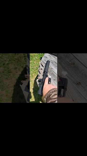 223 can on a 22LR [Banish 223]