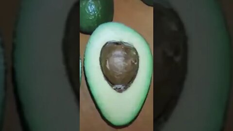 Schnellste Methode zum Keimen von Avocados #shorts