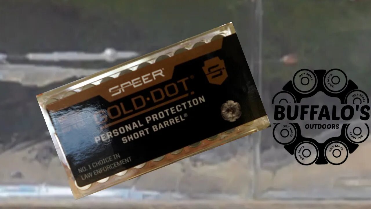 .22 Magnum GOLD DOT from a 3" Revolver Gel Test