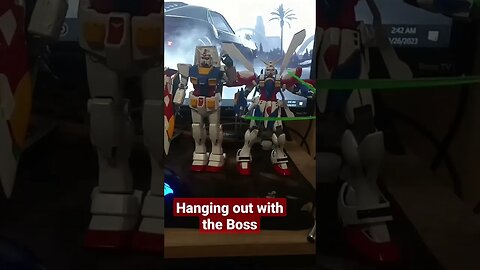 Gundam boys #shortsvideo #shortsfeed #Gundam #gundamfigure