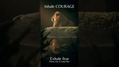 Inhale COURAGE