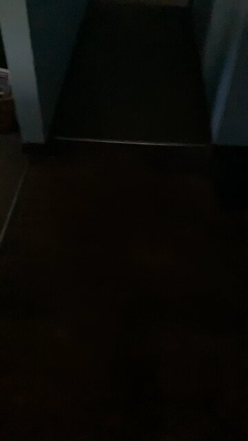 Why I can’t be a therapist part 4