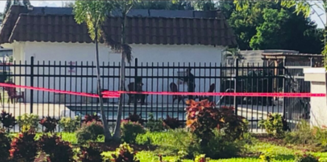 2 children in critical condition after being pulled from swimming pool, officials say