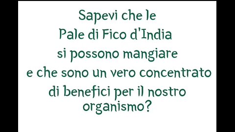 SALUTE: "I benefici del fico d'india, sia del frutto che delle sue foglie"