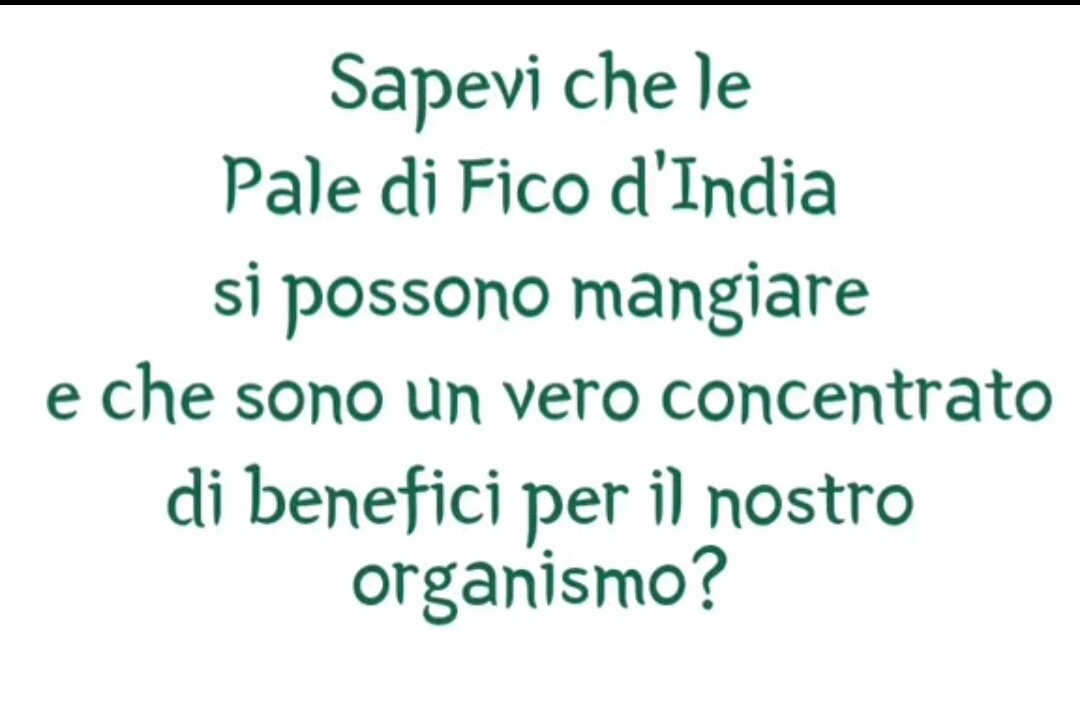 SALUTE: "I benefici del fico d'india, sia del frutto che delle sue foglie"