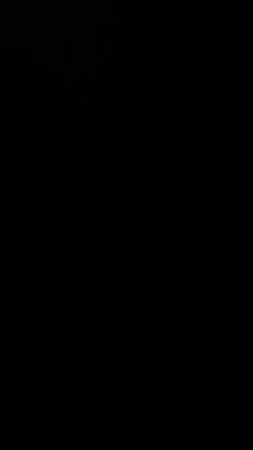 Staten Island borough