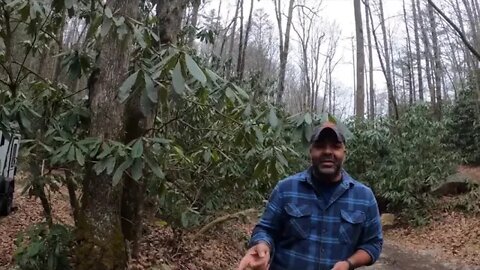 Hurricane Creek Trail, Shelton Laurel, and Bear Wallow Gap with the 4 Runner and NoBo 10 ##### 6