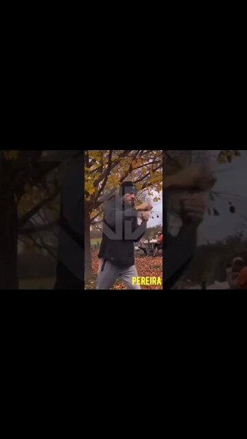 #Pereira preparing his “half cocked Judy” for #stylebender #ufc281 #poatan #adesanya #ufc