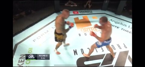 crazy kick knockout