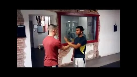 6-point Daan Chi Sau (單黐手) Drill