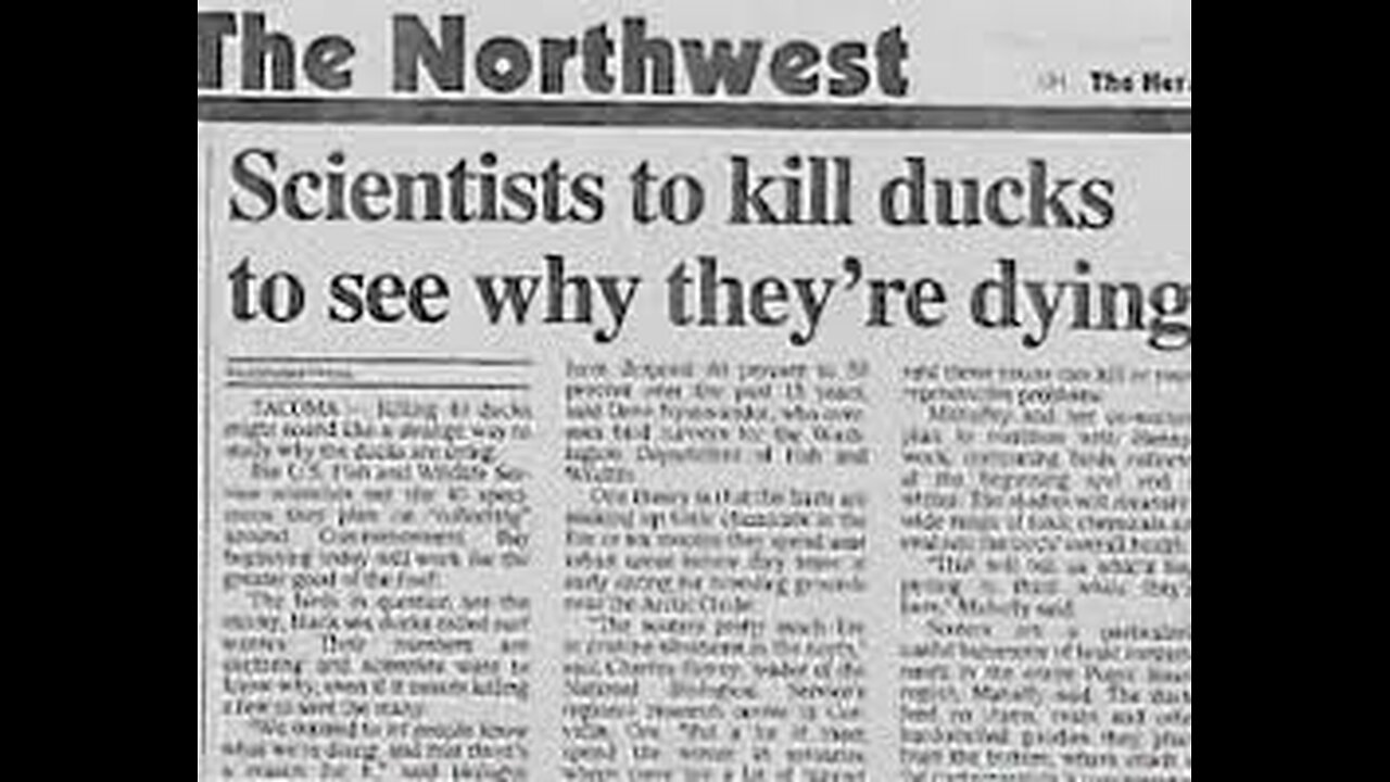 Scientists To Kill Ducks, To See Why They Are Dying!