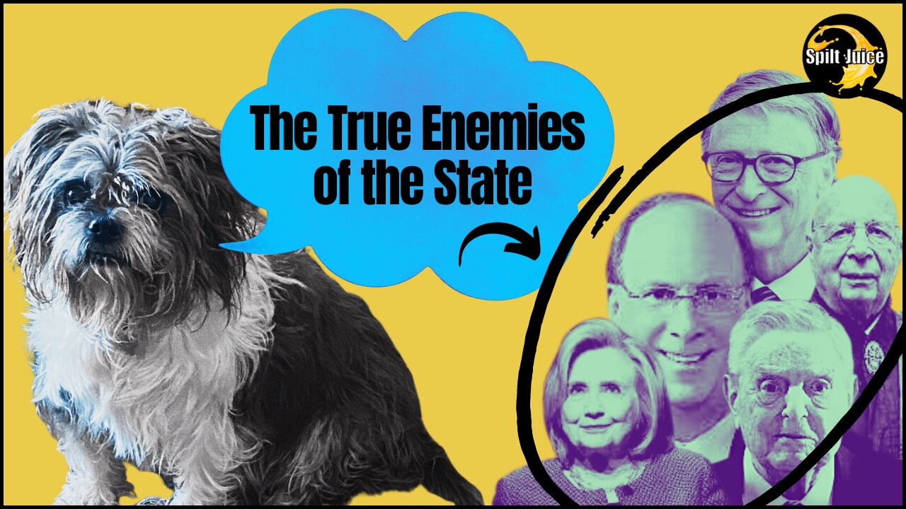 The True Enemies of the State